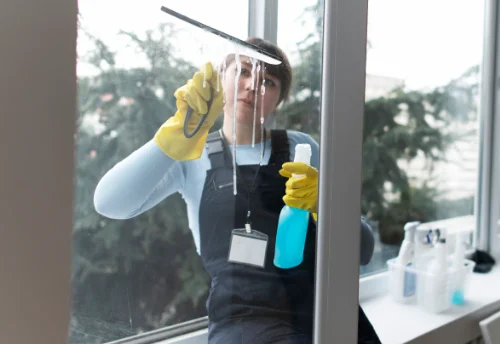 Nettoyage de vitres intérieures et extérieures à Coussay-les-Bois